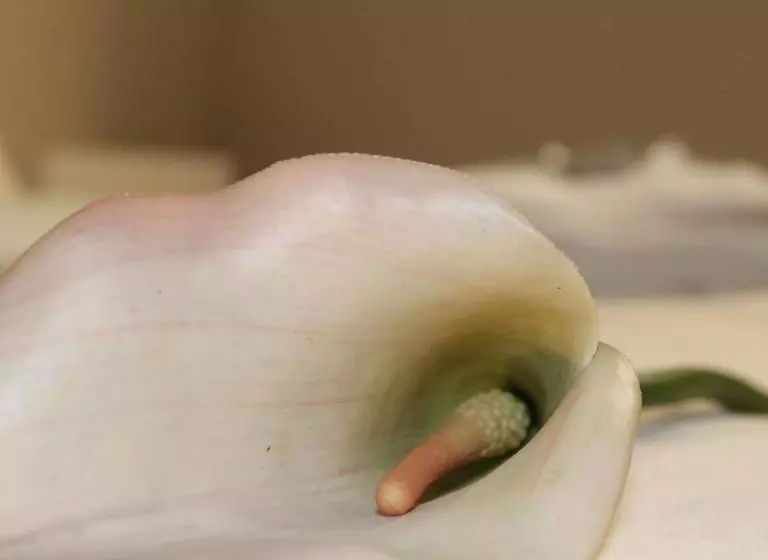 تختخواب و صبحانه Room 369