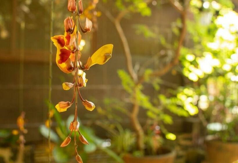 Casa Xochikalli Malinalco