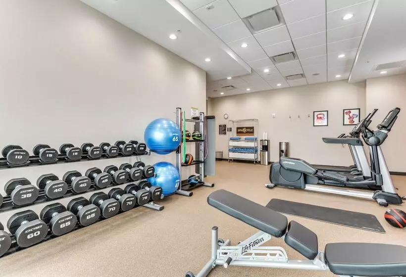 ホテル Home2 Suites By Hilton Dallas Medical District Lovefield
