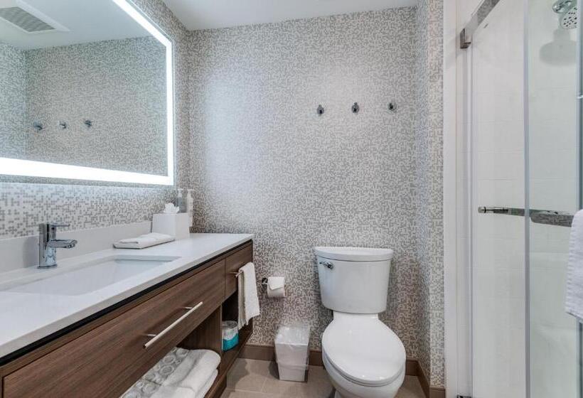 فندق Home2 Suites By Hilton Dallas Medical District Lovefield