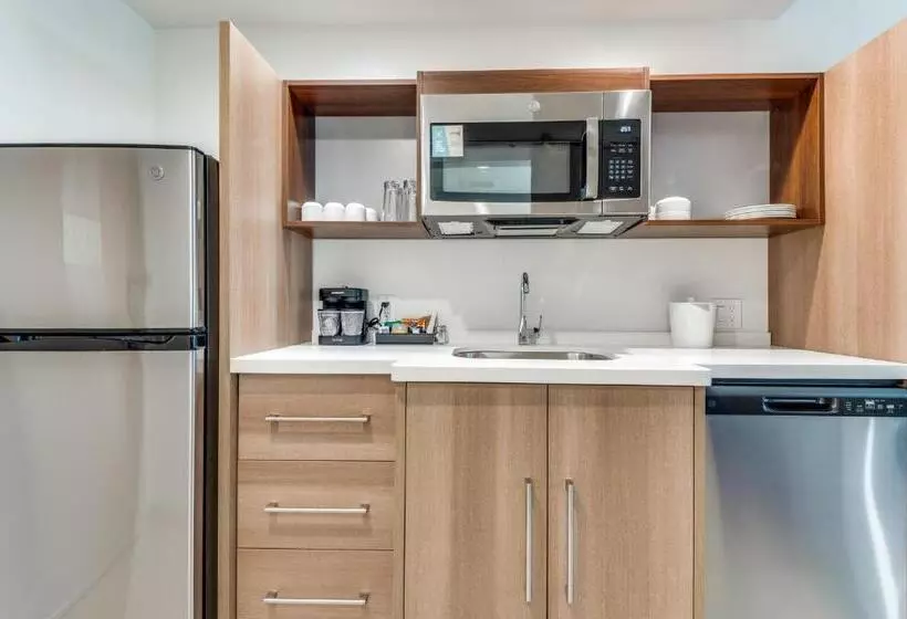 ホテル Home2 Suites By Hilton Dallas Medical District Lovefield