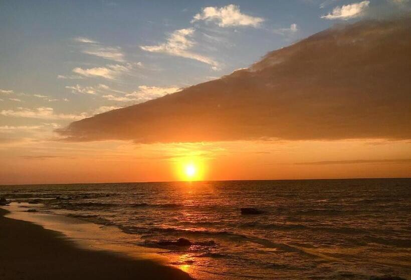 ホテル Marinus Eco Lodge