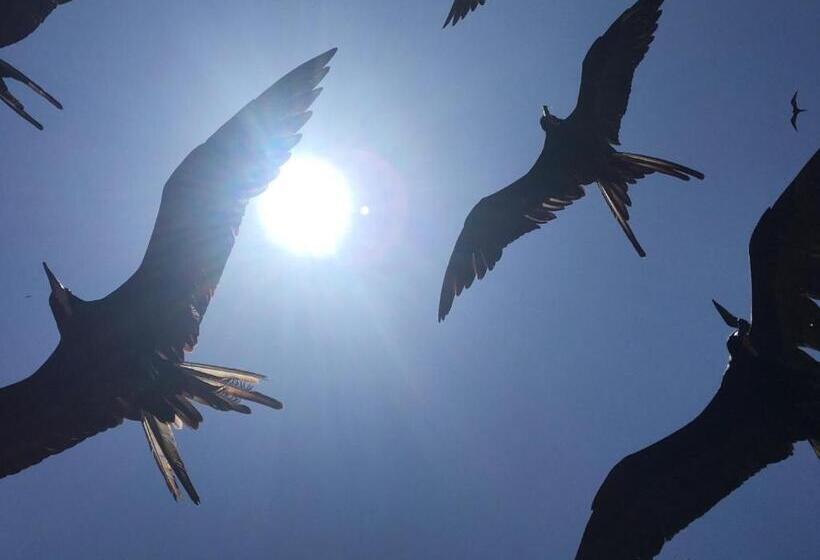 ホテル Marinus Eco Lodge