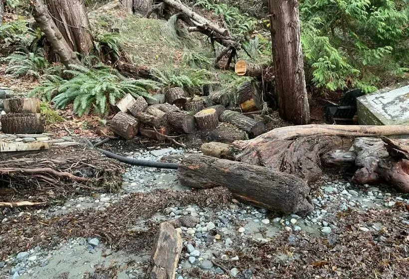 ペンション Beauty Oceanside Property In North Nanaimo