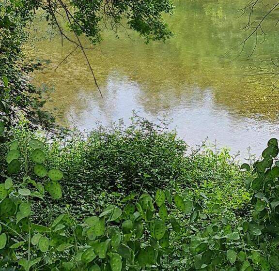 Пансион Domaine Du Moulin De Cors