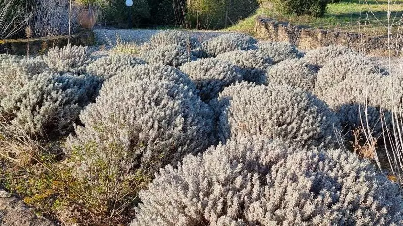 Majatalo Domaine Du Moulin De Cors