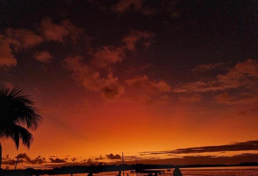 펜션 Pousada Toca Do Lobo