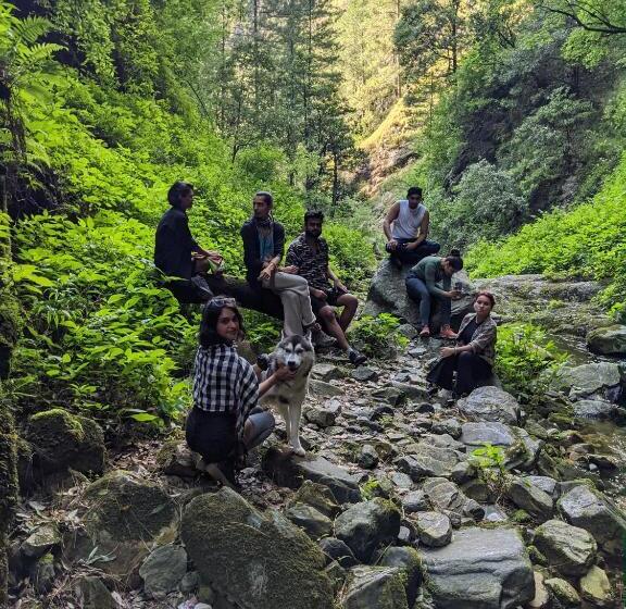 هاستل Damnbro Cafe & Stay Kasol