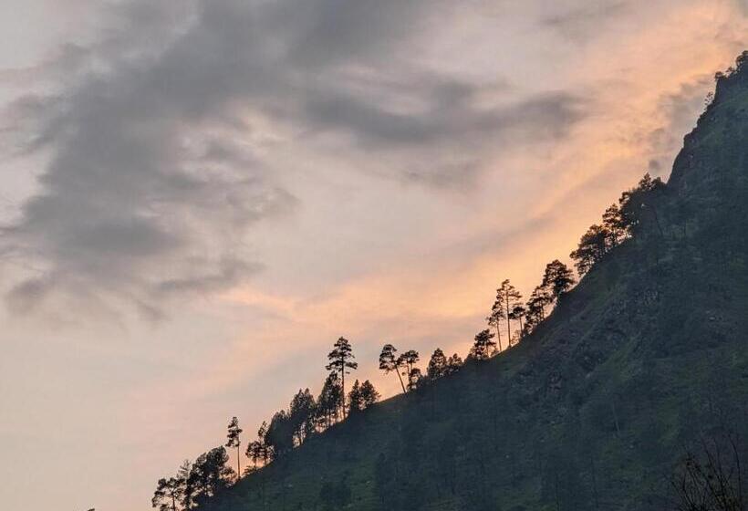 هاستل Damnbro Cafe & Stay Kasol