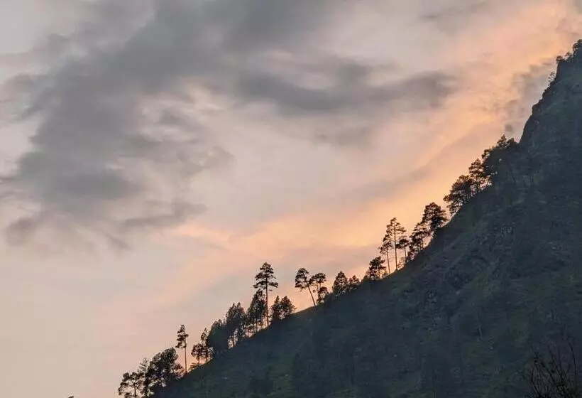 Retkeilymaja Damnbro Cafe & Stay Kasol