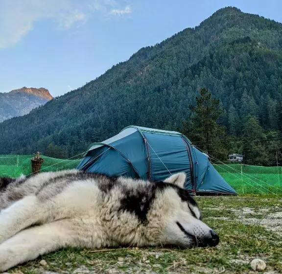 Retkeilymaja Damnbro Cafe & Stay Kasol