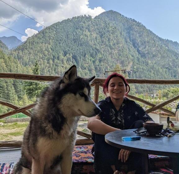 هاستل Damnbro Cafe & Stay Kasol