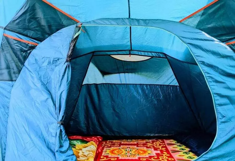 Retkeilymaja Damnbro Cafe & Stay Kasol