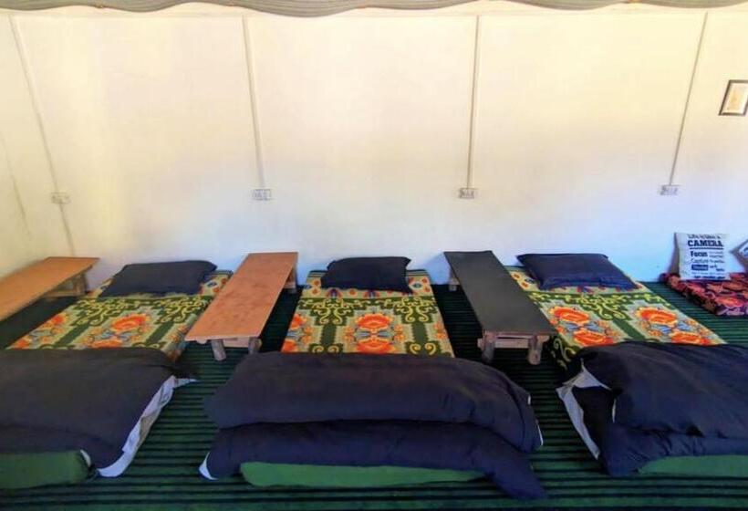 هاستل Damnbro Cafe & Stay Kasol