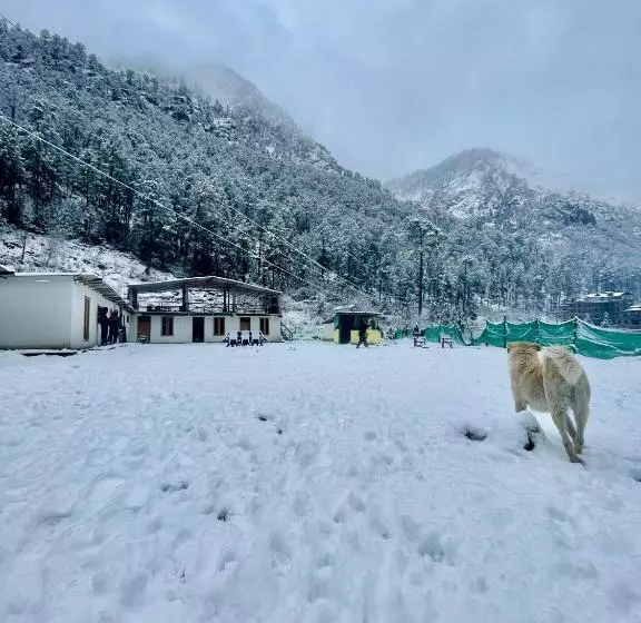 Retkeilymaja Damnbro Cafe & Stay Kasol