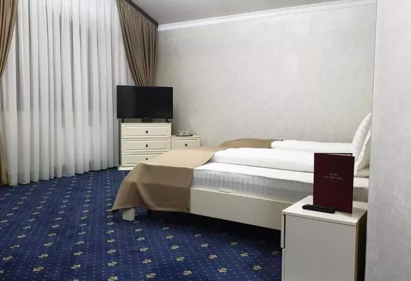 ホテル Bacsoridana