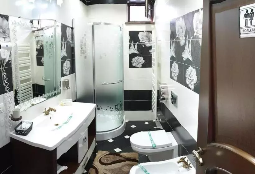 ホテル Bacsoridana