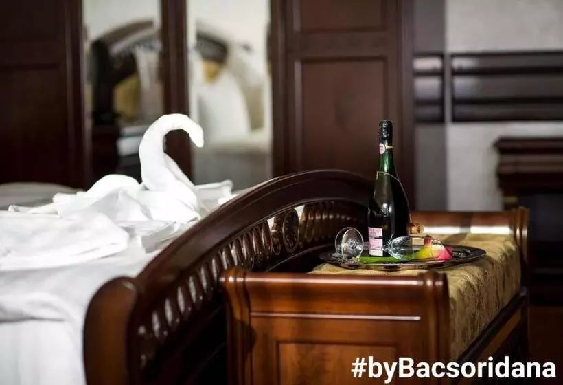 ホテル Bacsoridana