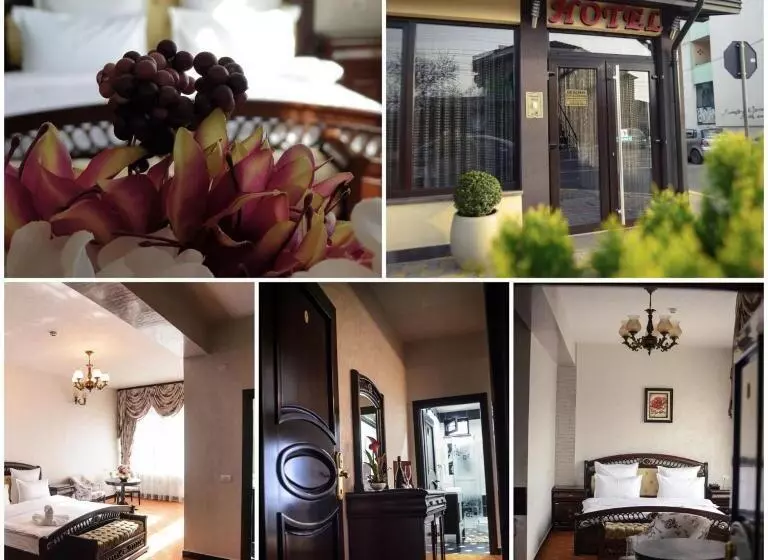 ホテル Bacsoridana