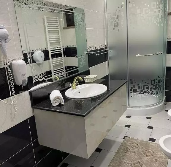 ホテル Bacsoridana