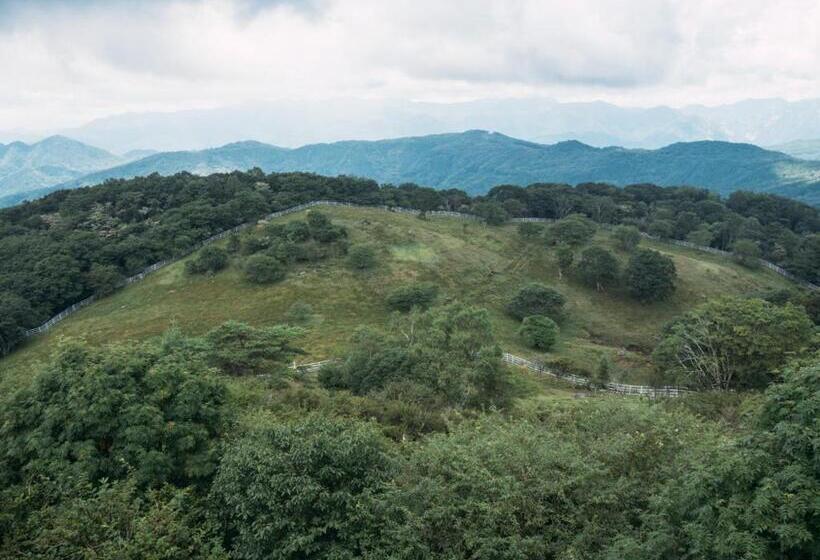 酒店 Center Vacation Stay 18175v