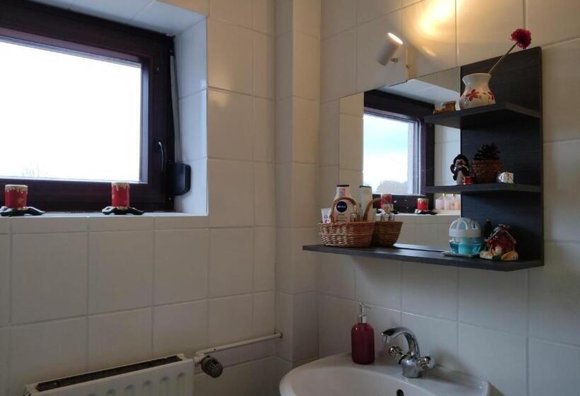 Пансион Apartment Am See Borken, Hessen