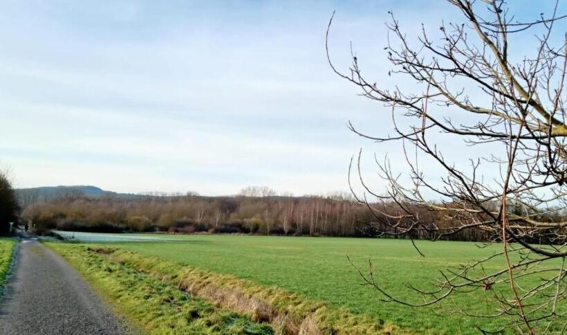 Пансион Apartment Am See Borken, Hessen