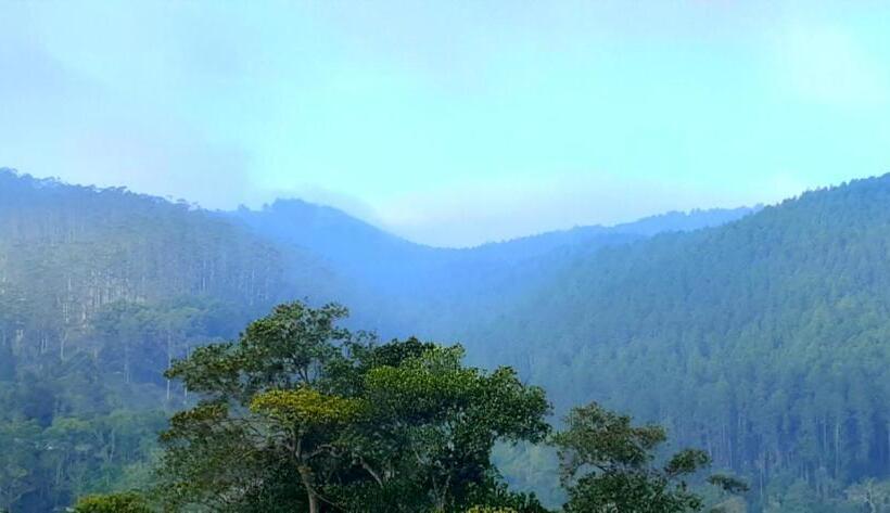 پانسیون Foggy Mount View