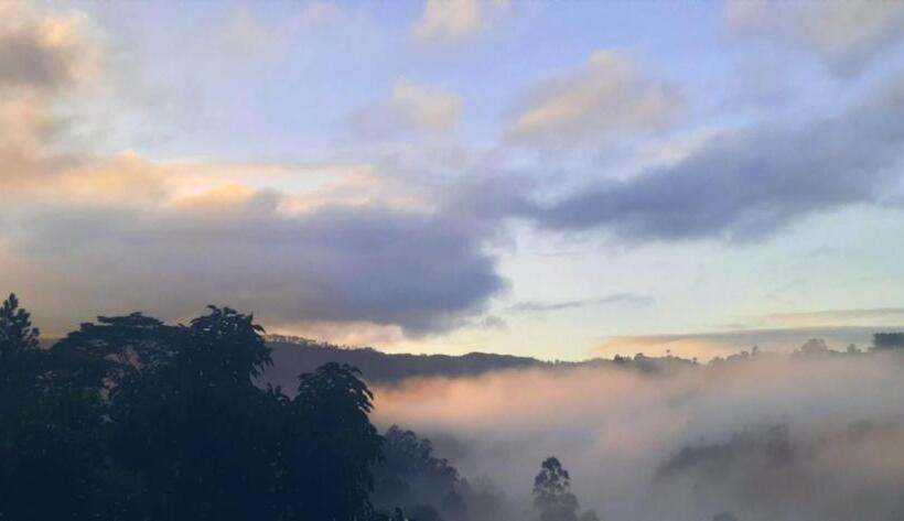 پانسیون Foggy Mount View