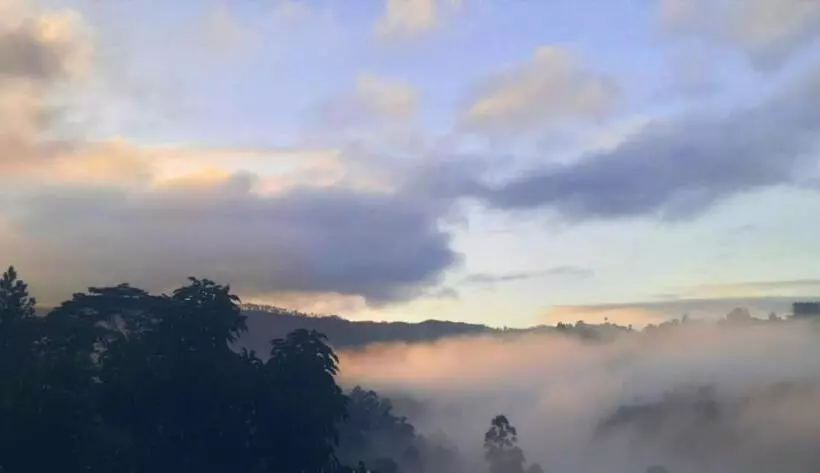 Majatalo Foggy Mount View