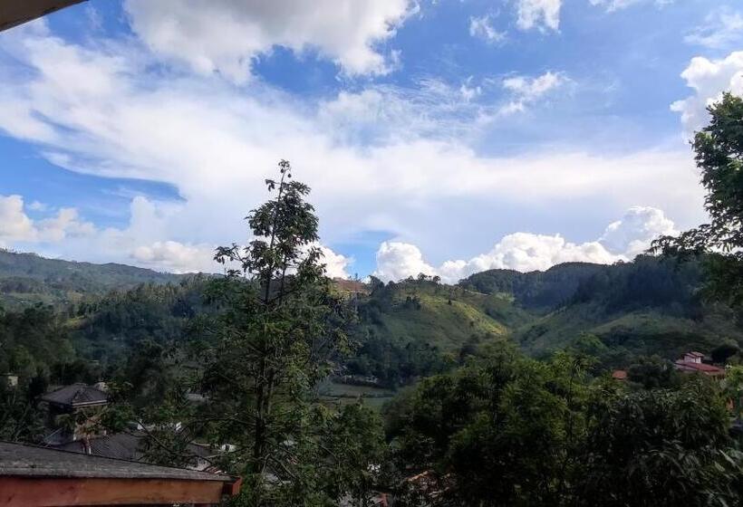 پانسیون Foggy Mount View