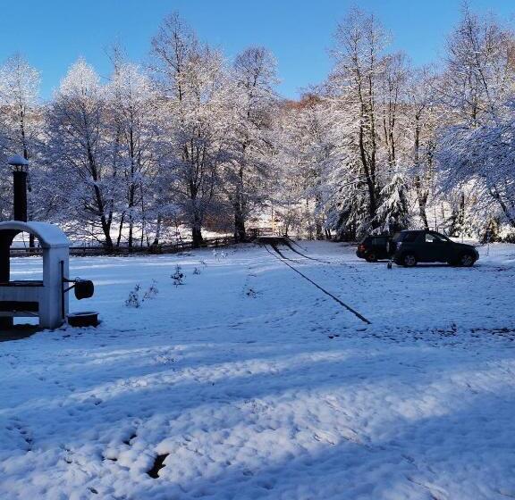 ペンション Fontana Erdélyi Vendégház 2