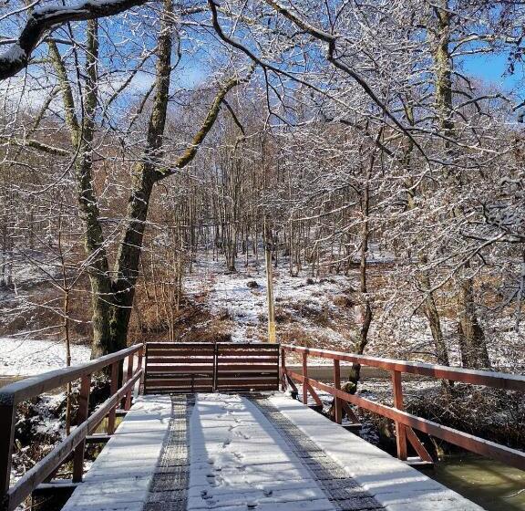 ペンション Fontana Erdélyi Vendégház 2