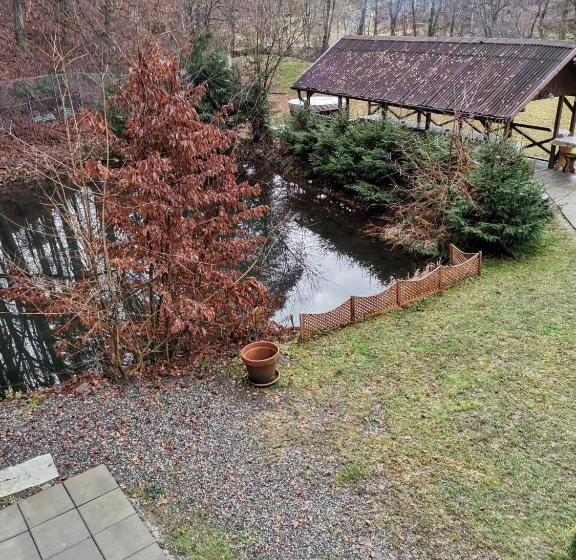 ペンション Fontana Erdélyi Vendégház 2