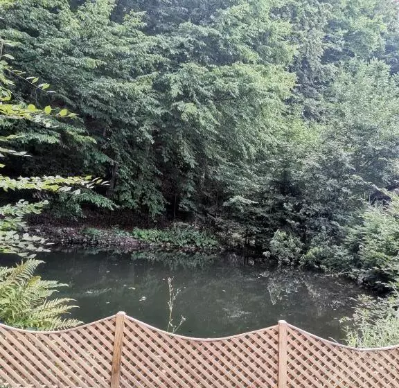 Majatalo Fontana Erdélyi Vendégház 2