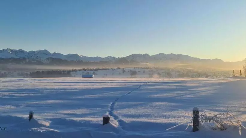 Aamiaismajoitus (B&B) Zapotoczny Residence