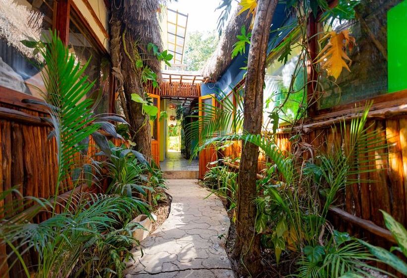 Szálloda Carlitos Tulum