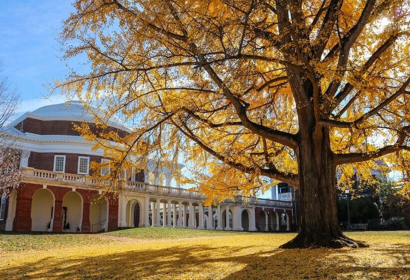 Kimpton   The Forum Hotel, An Ihg