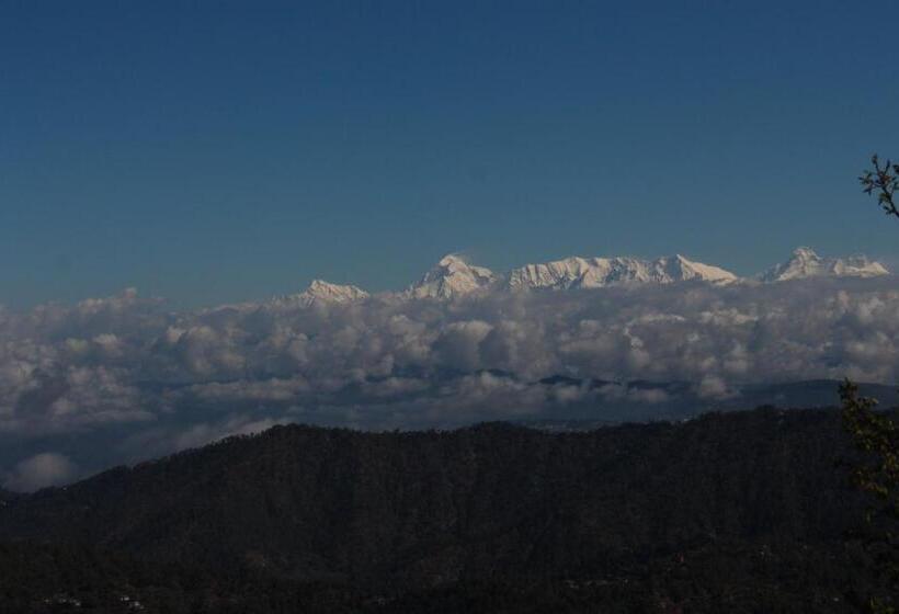 فندق The Fox Retreat
