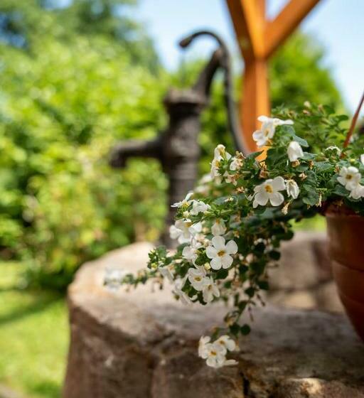 ホテル Zielona Róża