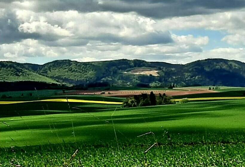 ホテル Zielona Róża