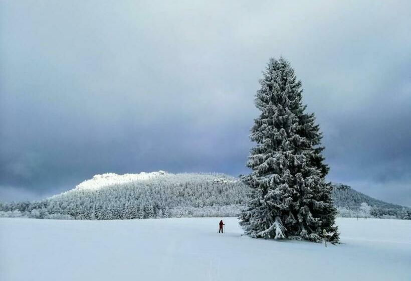 ホテル Zielona Róża