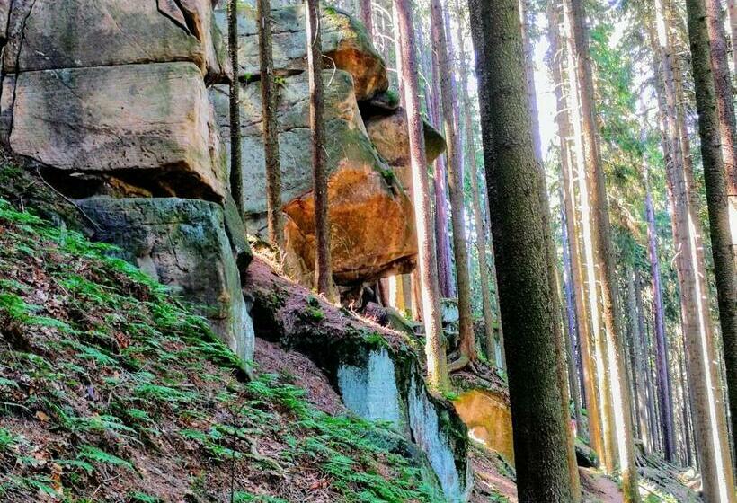 ホテル Zielona Róża