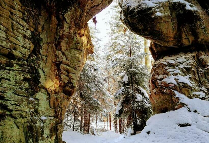 ホテル Zielona Róża