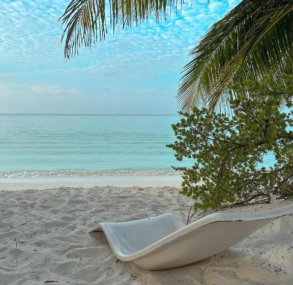 پانسیون Brisa Fresca