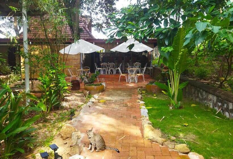 بنسيون Casa Kep