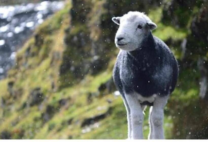 ペンション The Berry Boutique