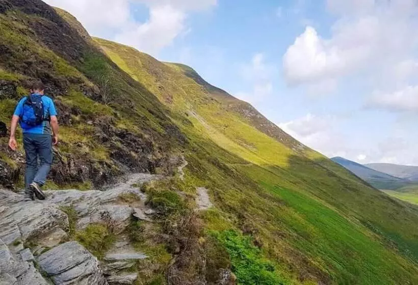 ペンション The Berry Boutique