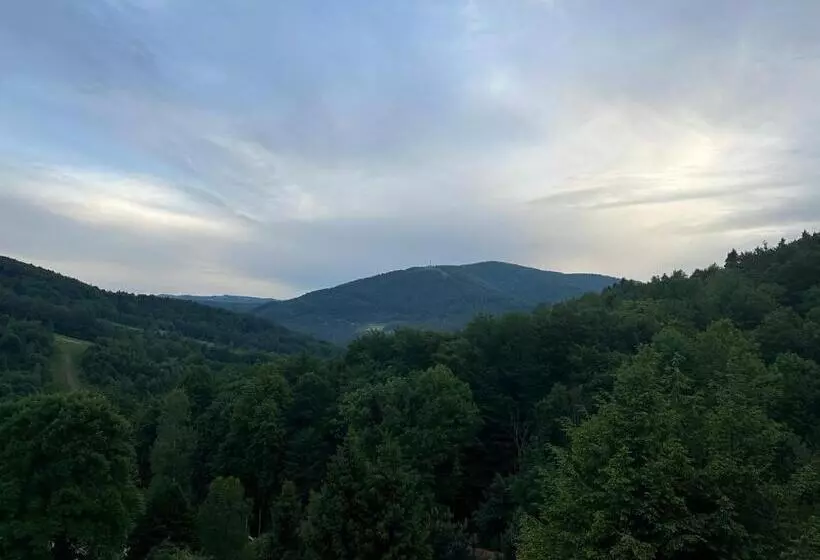 リゾートホテル Ondraszek