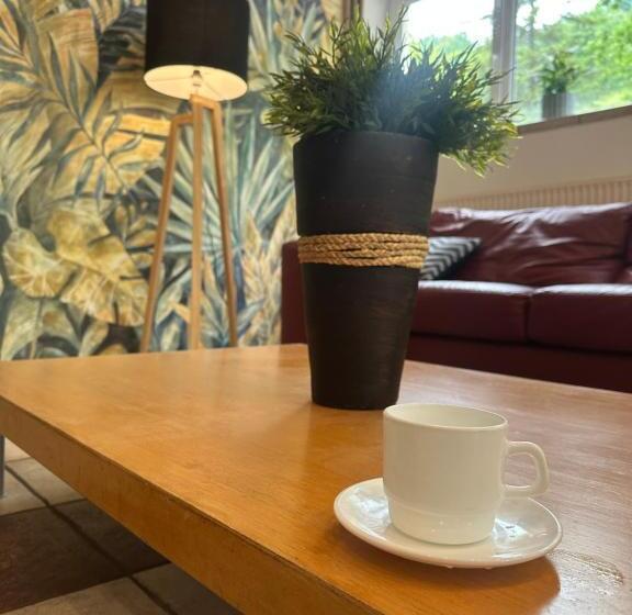 Курорт Ondraszek